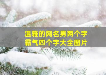 温雅的网名男两个字霸气四个字大全图片