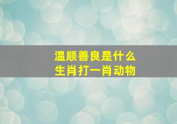 温顺善良是什么生肖打一肖动物