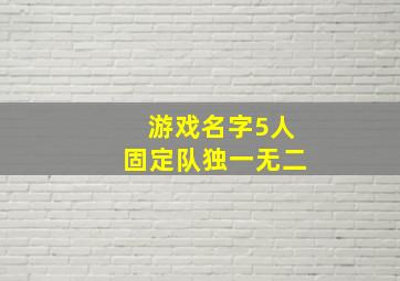 游戏名字5人固定队独一无二