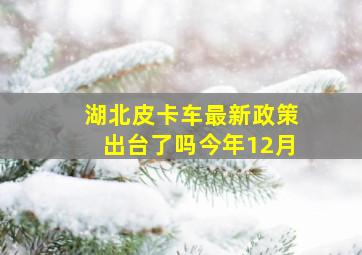 湖北皮卡车最新政策出台了吗今年12月