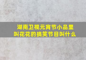 湖南卫视元宵节小品里叫花花的搞笑节目叫什么