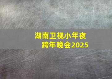 湖南卫视小年夜跨年晚会2025