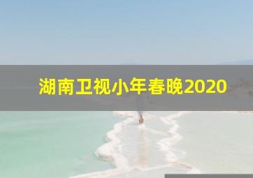 湖南卫视小年春晚2020