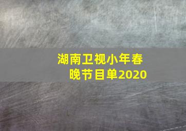 湖南卫视小年春晚节目单2020