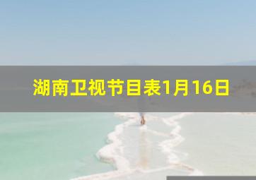 湖南卫视节目表1月16日