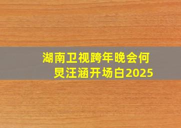 湖南卫视跨年晚会何炅汪涵开场白2025