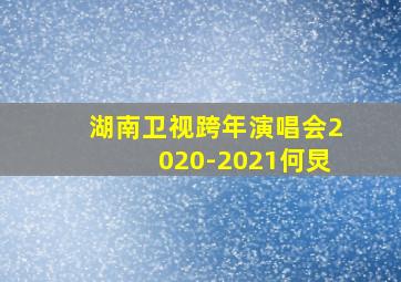 湖南卫视跨年演唱会2020-2021何炅