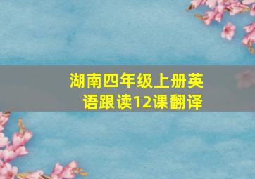 湖南四年级上册英语跟读12课翻译