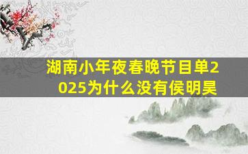 湖南小年夜春晚节目单2025为什么没有侯明昊