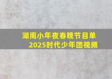 湖南小年夜春晚节目单2025时代少年团视频