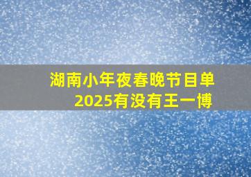 湖南小年夜春晚节目单2025有没有王一博