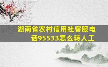 湖南省农村信用社客服电话95533怎么转人工