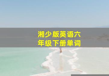 湘少版英语六年级下册单词