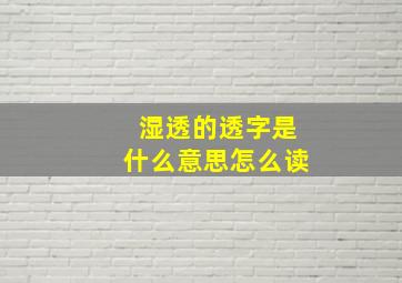 湿透的透字是什么意思怎么读