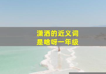 潇洒的近义词是啥呀一年级