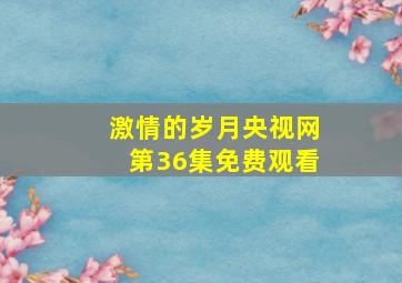 激情的岁月央视网第36集免费观看