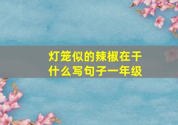 灯笼似的辣椒在干什么写句子一年级