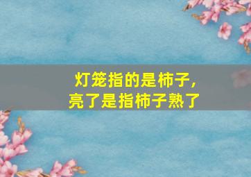 灯笼指的是柿子,亮了是指柿子熟了