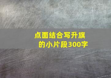 点面结合写升旗的小片段300字