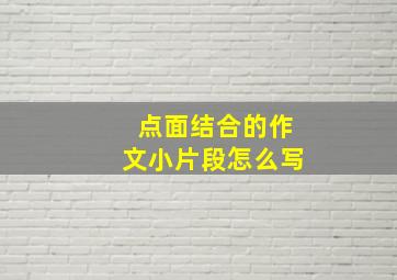 点面结合的作文小片段怎么写