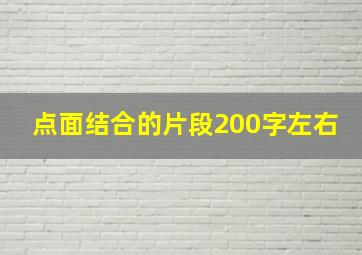 点面结合的片段200字左右