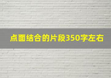 点面结合的片段350字左右