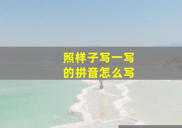 照样子写一写的拼音怎么写