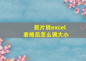 照片转excel表格后怎么调大小