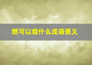 燃可以组什么成语褒义