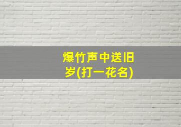 爆竹声中送旧岁(打一花名)