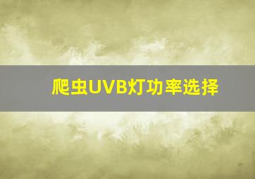 爬虫UVB灯功率选择