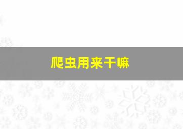 爬虫用来干嘛