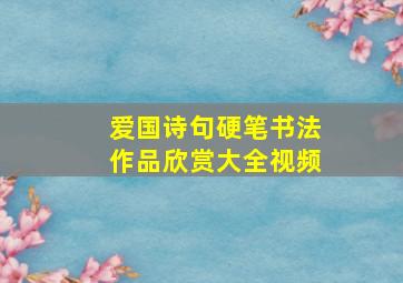 爱国诗句硬笔书法作品欣赏大全视频