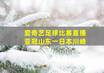 爱奇艺足球比赛直播亚冠山东一日本川崎