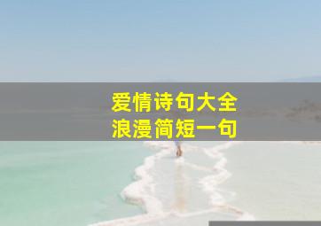 爱情诗句大全浪漫简短一句