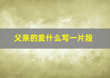 父亲的爱什么写一片段