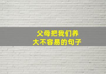 父母把我们养大不容易的句子