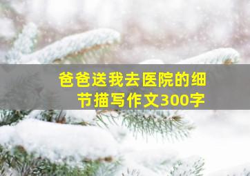 爸爸送我去医院的细节描写作文300字