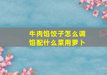 牛肉馅饺子怎么调馅配什么菜用萝卜