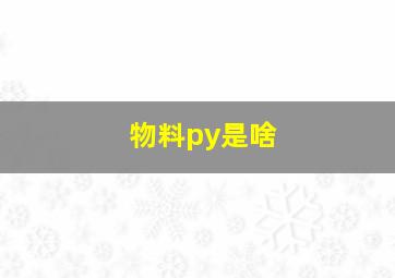 物料py是啥