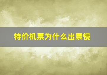 特价机票为什么出票慢