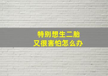 特别想生二胎又很害怕怎么办