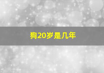 狗20岁是几年