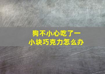 狗不小心吃了一小块巧克力怎么办