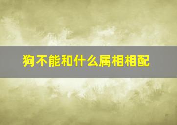 狗不能和什么属相相配