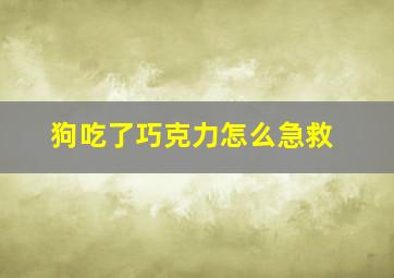 狗吃了巧克力怎么急救