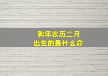 狗年农历二月出生的是什么命