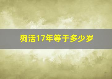 狗活17年等于多少岁