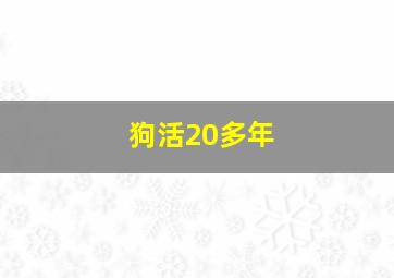 狗活20多年