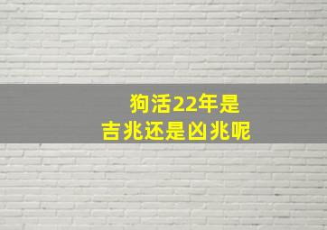 狗活22年是吉兆还是凶兆呢